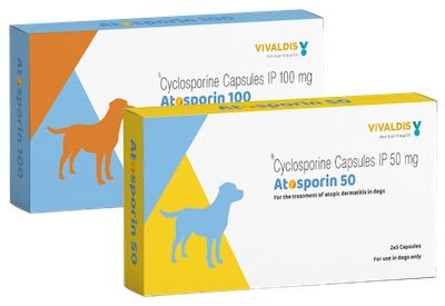 Atosporin (Cyclosporin) 100mg | 10 Capsules